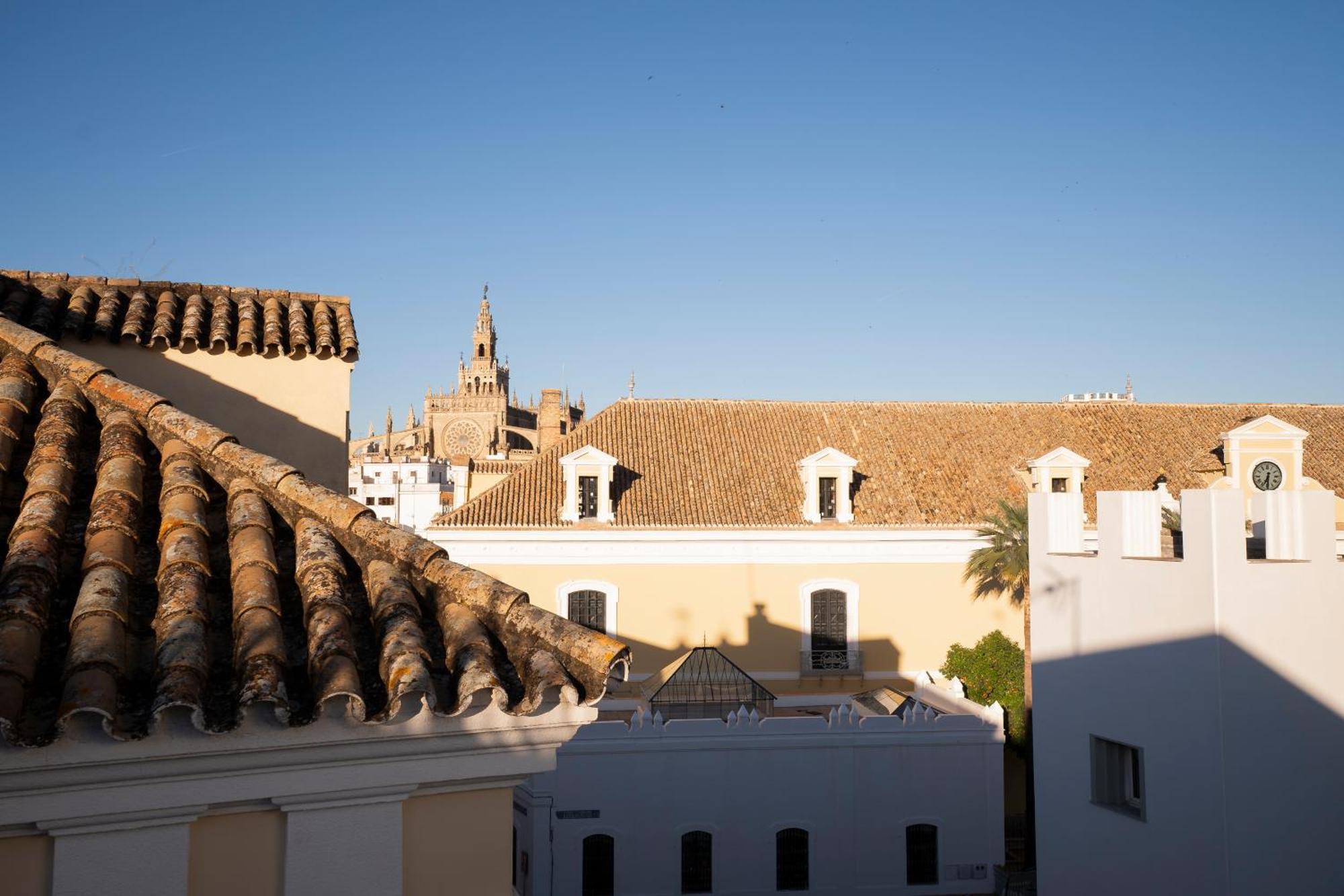 Petite California Dos De Mayo * Sevilla